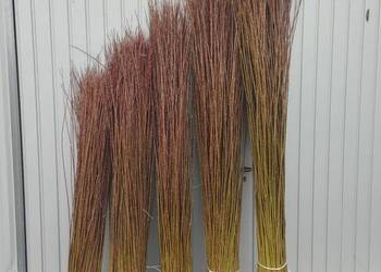 Wiklina sortowana od  160 cm do 260 cm