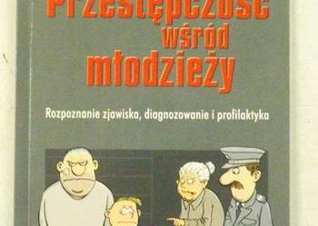 Hollin C. R. - Przestępczość wśród młodzieży  FA
