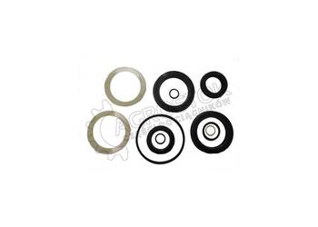 Komplet naprawczy siłownika łapy jumz e02621a