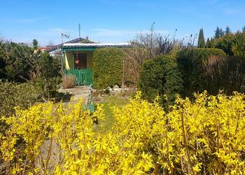 Sprzedam działkę ROD – ul. Świętojańska, Konin, DO NEGOCJACJI