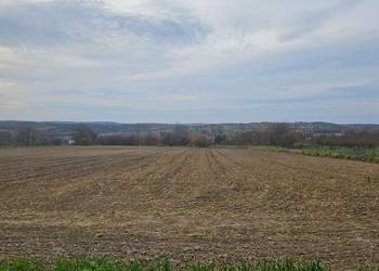 Dzierżawa gruntów rolnych