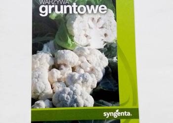 Warzywa gruntowe
