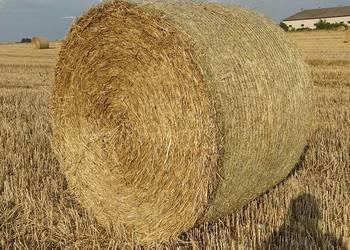 Sprzedam słomę żytnia - bela 160 - transport