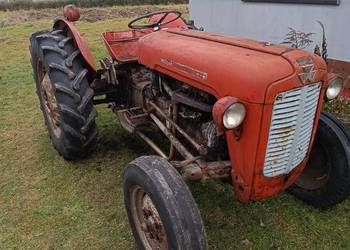Massey Ferguson 35 benzyna