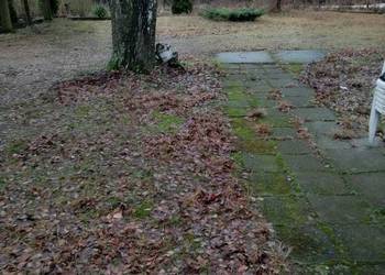 syndyk sprzeda - udział w nieruchomości gruntowejda