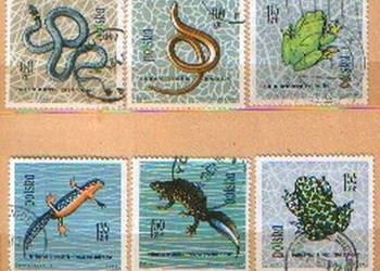 Fi 1245 - 54, 6 kas 1963