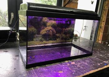 Akwarium 60x30x35 63 L pokrywa