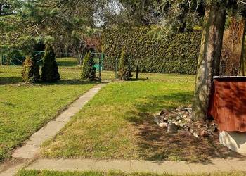 Działka ROD Paluch Miejski