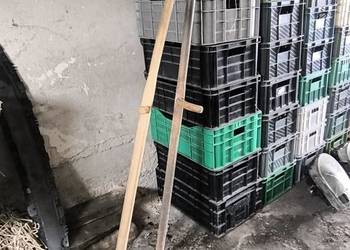 kosy do sieczenia w polu