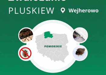 Zwalczanie pluskiew Wejherowo - Odpluskwianie, Dezynsekcja