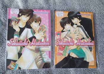 Sekaiichi Hatsukoi - Przypadek Ritsu Onodery - zestaw 2 tomów, 2015 rok