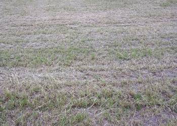 Działka rolno - budowlana 3100 m2 ,