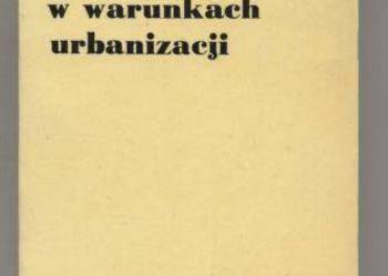 Religijność wiejska w warunkach urbanizacji