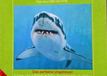 Czasopismo GEO 1983r