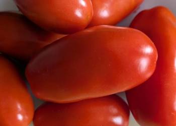 San Marzano nasiona pomidor kolekcjonerski
