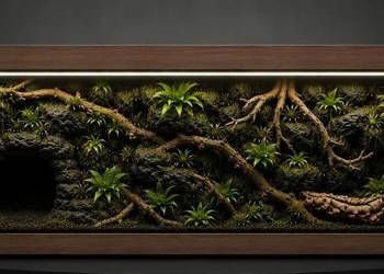 Terrarium specjalistyczne dla kameleona pytona regiusa