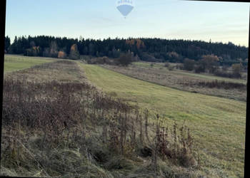 Oferta sprzedaży działki  Frydman