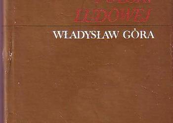 (6562) REFLEKSJE NAD HISTORIĄ POLSKI LUDOWEJ – WŁADYSŁAW GÓR