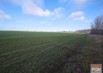 Oferta sprzedaży działki 1000m2 Połchowo