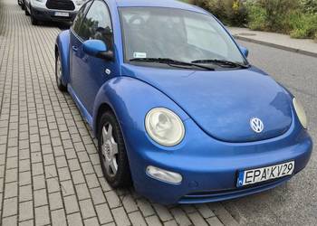 VW New Beetle