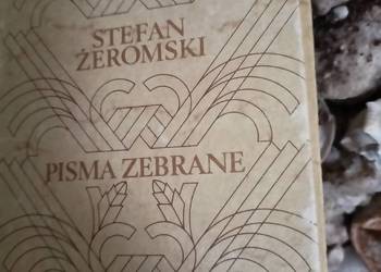 Popioły ładne wydanie lektury szkolne księgarnia internetowa