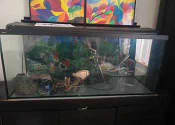 Sprzedam akwarium 240