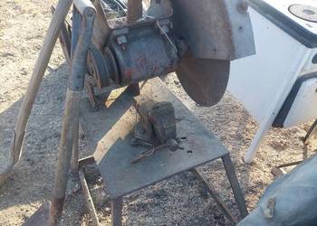 Krajzega piła tarczowa