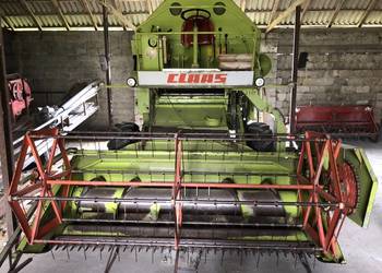 Sprzedam kombajn class mercator 50