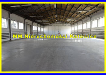 Hala do wynajęcia Katowice blisko centrum plac biuro socjal.