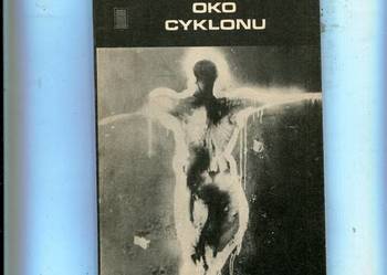 Oko cyklonu - Didier Decoin