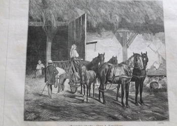 A. Kowalski Drzeworyt sztorcowy Kłosy 1875 r