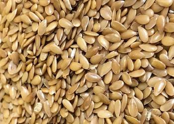 siemię lniane (Lin Seed)