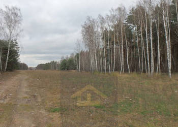 Działka budowlana w gminie Wiazowna