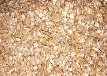 Owies walcowany gnieciony