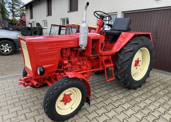 WŁADIMIREC T25 - zarejestrowany - z rewersem - bez wkładu finansowego