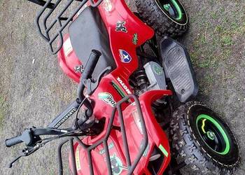 Quad