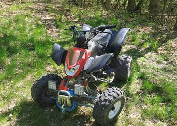 Bashan 200