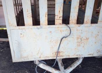 Dwukółka do przewozu do bydła