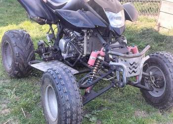 Bashan 250