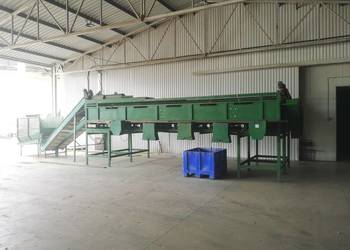 Sortownik do ogórków 34 łańcuchy