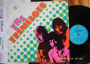 K.  Pop ; THE TREMOLES ; LP winyl
