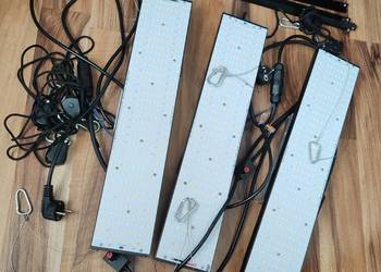 Lampa do uprawy roślin