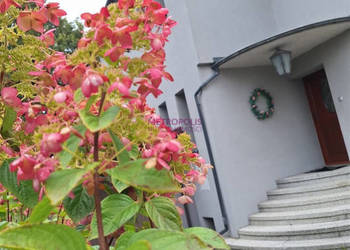 Dom wolnostojący 200m2 Rybnik