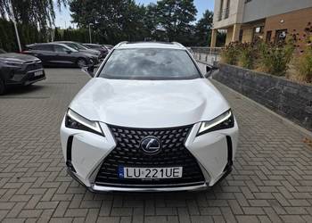 Lexus UX 250H Omotenashi /Mark Levinson / Już zarejestrowany w Polsce