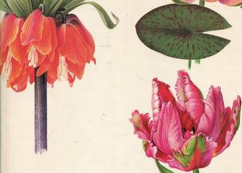 kwitnący ogród - Vladimir Molzer kwitnący ogród - Vladimir Molzer