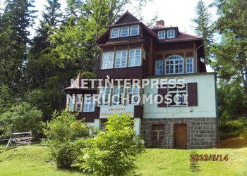 Lokal 600m2 Sosnówka