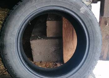 Opony zimowe FIREMAX FM+ 205/55R16