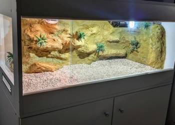 Terrarium specjalistyczne dla gekona lamparciego agamy brodatej