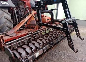 Brona Wirowa EMY  (Maschio) 3m