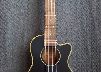 Ukulele EVERY PLAY